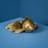 WERNS Goldfish Gold Prydnadsfigur 27cm