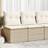 vidaXL 4 Piece Garden Sofa with Cushions - Beige Poly Rattan Outdoor Lounge Set