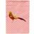 Carolines Treasures Golden or Chinese Pheasant Pink Check Canvas House Flag 71.1x101.6cm