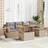 vidaXL 6 Piece Garden Sofa Beige Poly Rattan Acacia Outdoor Lounge Set