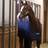 Horseware Liner 400g