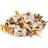 De Bron Caribbean Cream Toffee Sugarfree 1 kg
