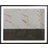 Galakor Sample Series (BL00004670)