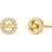 Michael Kors Logo Stud Earrings - Gold/Transparent