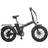 Youin BK1201B TEXAS II Black Electric Bike 250W