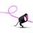 Philips Hue Lily XL + Outdoor Lightstrip 5m Black Spotlight 2stk