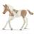 Schleich Paint Horse Foal 13886