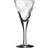 Kosta Boda Chateau Snapseglas 6cl