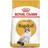 Royal Canin Ragdoll Adult 10kg