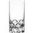 Orrefors Sofiero Dricksglas 41cl