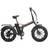 Youin BK1201 TEXAS II Elcykel 250W 10400mAh 20"