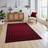 Think Rugs OZV10467 Red Red 304.8x431.8cm