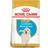 Royal Canin Golden Retriever Puppy 12kg
