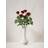 Interflora 5 röda rosor med grönt