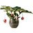 Interflora Rosenskärm