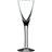 Kosta Boda Line Snapsglas 7cl