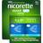 Nicorette Mint Sugtablett 2 mg 160 st