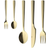 aida Raw Champagne Gold Cutlery Set 60pcs