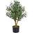 Leaf Realistic Olive Tree 65cm H x 50cm W x 50cm D Artificial Plant