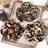 Shein Elegant Vintage Intestine Hair Scrunchies Set of 3