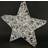 Flair Flower Warm White Silver Julstjärna 42cm