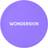 Wonderskin FYP Filter Powder - Translucent
