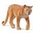 Schleich Cougar 14853