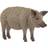 Schleich Mangalica
