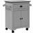 vidaXL Cater Cart Station Grey Trolley Table 45x72cm