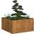 vidaXL Planter Rusty 80x80x40 cm Weathering Steel