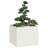 vidaXL Plantekasse 100 x 100 x 80 cm Stål Hvid Plantekasse