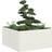 vidaXL Planter White 80 x 80 x 40 cm Cold-rolled Steel
