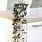 Thompson & Morgan String of Hearts Ceropegia Woodii 8 cm Pot x 1