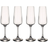 Villeroy & Boch Ovid Champagne Glass 25cl 4pcs