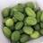Thompson & Morgan Cucamelon Melothria 1 Seed Packet Set of 20