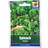 Viking Spinach Seed Packet Green