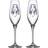 Kosta Boda All About You Champagne Glass 23cl 2pcs