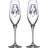 Kosta Boda All About You Champagneglas 23cl 2stk