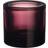 Iittala Kivi 6 cm Ljung Värmeljuslykta