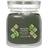 Yankee Candle Olive & Cypress Medium Doftljus