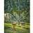 Ivyline Outdoor Tall Metal Dakota Firebowl 65cm