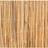 Primrose Bamboo Cane Screening Roll 3.0M x 2.0M
