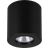 Eglo Torrecola Loftlampe