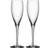 Orrefors More Champagneglas 18cl 2st
