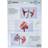Olympia Lamination Pouches 80 Mic 100-pack