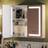 Metro Lane Bathroom Wall-mounted Mirror Cabinet 60mm H X 60mm W X 15mm D