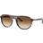 Ray-Ban RB2215 143151 - Polished Havana Yellow Turtle