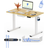 Flexispot E1 PRO Beige Skrivbord 60x100cm