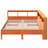 vidaXL Bookcase Sengeramme 168.5x218.5cm