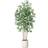 Ficus Green Artificial Plant